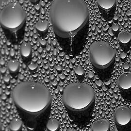 dew point by Joe Schofield