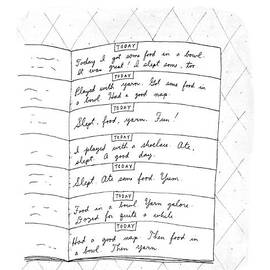 Diary Of A Cat: by Roz Chast