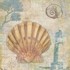 Discovery Shell II by Paul Brent