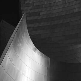 Disney Hall Abstract Black and White by Rona Black