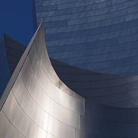 Disney Hall Abstract by Rona Black