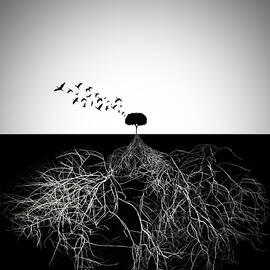 Do Not Judge According To Appearance by Sourig Arslanian