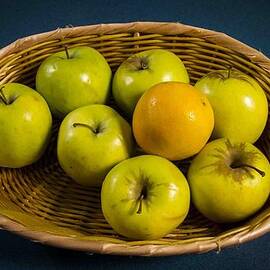 Doctors Fruit by Jean Noren