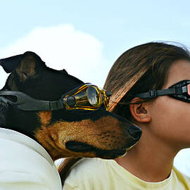 dog is my co-pilot by Laura Fasulo