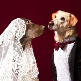 Don we now our gay apparel by Jean Noren