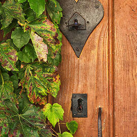 Door to my Heart by Georgia Clare