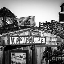 Dory Fishing Fleet Live Crab and Lobster Sign Picture by Paul Velgos