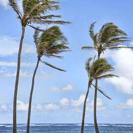 Double Double by Kelley King