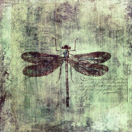 Dragonfly by Priska Wettstein