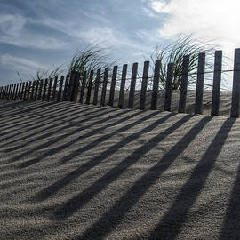 Drawing Lines in the Sand by Richard Reeve