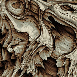 Driftwood 1 by Vic Eberly