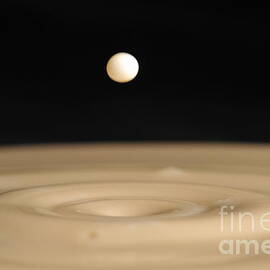 Drop of milk splashing into coffee mixed with milk by Sami Sarkis Photography