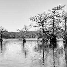 Duck Blind on Caddo Lake by Mary Lee Dereske