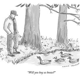 Ducks In A Pond Speak To A Man by Trevor Spaulding