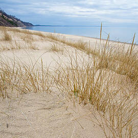Dune Grass on Lake Michigan by Mary Lee Dereske