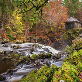 Dunkeld Hermitage, Perthshire, Scotland by Empato