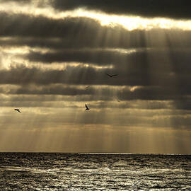 Dusk on Pacific by Joe Schofield