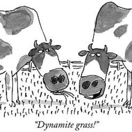 Dynamite Grass! by Jack Medof