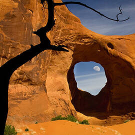 Ear Of The Wind by Susan Candelario