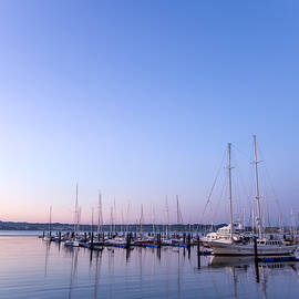 Early Summer by Eddy Photo