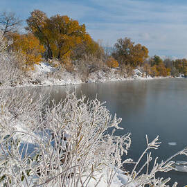 Early Winter Landscape by Cascade Colors
