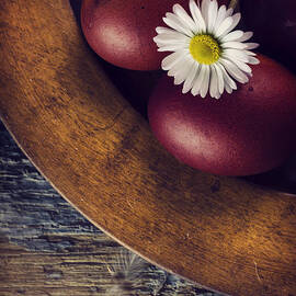 Easter Eggs by Jelena Jovanovic