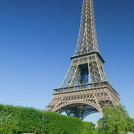 Eiffel Tower in Spring I by Clarence Holmes