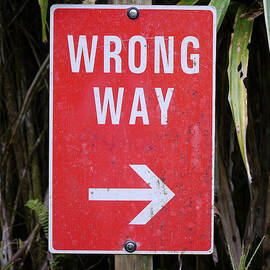 El Yunque - Unorthodox by Richard Reeve