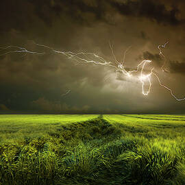 Electrically In Summer by Franz Schumacher