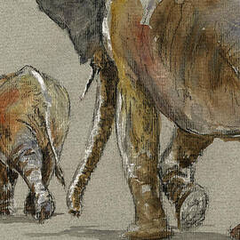 Elephants walking by Juan  Bosco