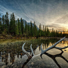 Elk Antler Adds Reflection To Mountain by Ascent Xmedia