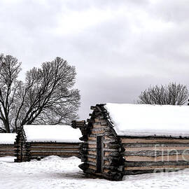Encampment by Olivier Le Queinec