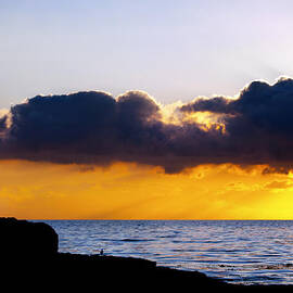 End of Day on the Pacific by Joe Schofield