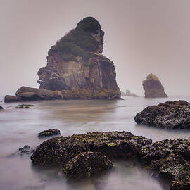 Enduring by Adam Mateo Fierro