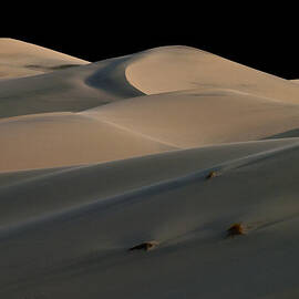 Eureka Dune Dreams by Joe Schofield