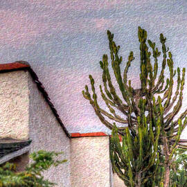 Evening Descends  by Joe Schofield