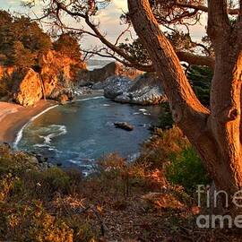 Evening Light At Pfeiffer Burns by Adam Jewell