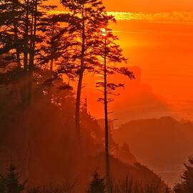 Evening Sunbeams by Adam Jewell