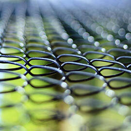 event horizon by Laura Fasulo