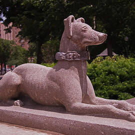 Ever Vigilant by Rona Black