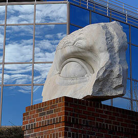 Eye to the Sky by Richard Reeve