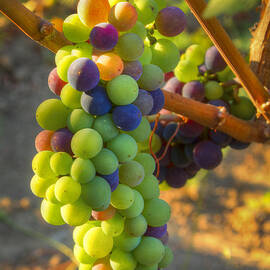 Fading light by Jean Noren