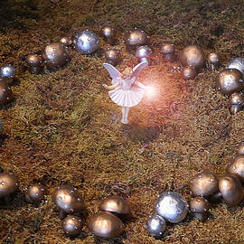 Faerie Ring by Richard Reeve