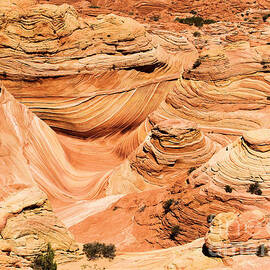 Fairytale Land by Adam Jewell