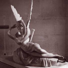 Faith  by Joe Schofield