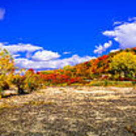 Fall All Around by Duluth To Door County Photography