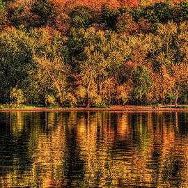 Fall Foliage by Adam Mateo Fierro