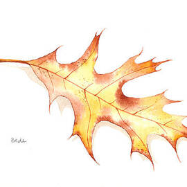 Falling by Catherine Bede