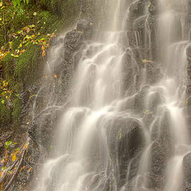 Falling on the Leaf by Jean Noren