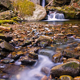Falls Of Song On Shannon Brook by Jeff Sinon